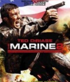 海军陆战队员2 The Marine 2            (2009)