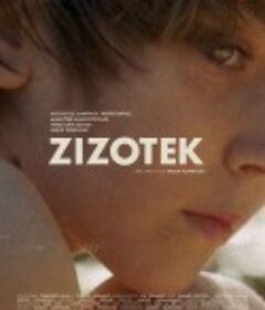 遗世避难所 Zizotek            (2019)