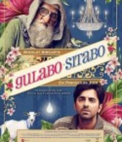 左右互搏 Gulabo Sitabo            (2020)