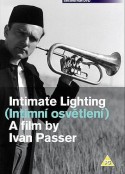 逝水年华 Intimní osvětlení            (1965)
