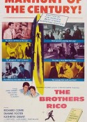 龙虎斗 The Brothers Rico            (1957)