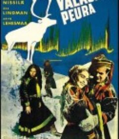 白色驯鹿 Valkoinen peura            (1952)