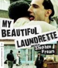 我美丽的洗衣店 My Beautiful Laundrette            (1985)