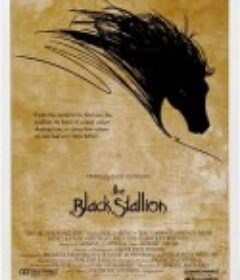 黑神驹 The Black Stallion            (1979)