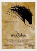 黑神驹 The Black Stallion            (1979)