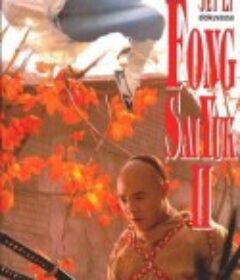 方世玉续集            (1993)