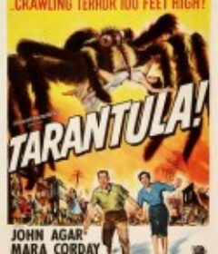 狼蛛 Tarantula            (1955)