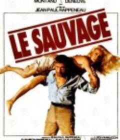 野岛真情 Le Sauvage            (1975)