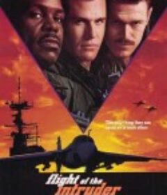 捍卫入侵者 Flight of the Intruder            (1991)