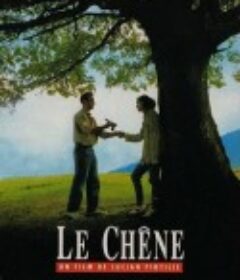 橡树 Balanţa            (1992)