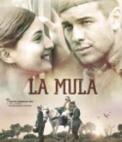 骡子 La mula            (2013)