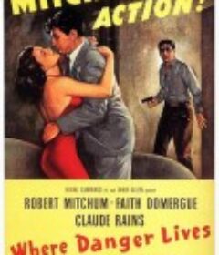 险情 Where Danger Lives            (1950)