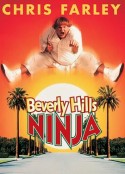 比佛利武士 Beverly Hills Ninja            (1997)