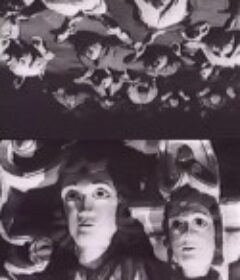 秘方 La fórmula secreta            (1965)