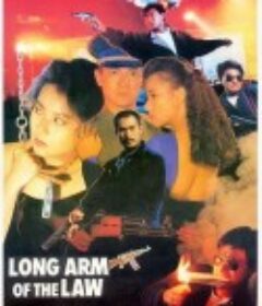 省港旗兵3：逃出香港 省港旗兵第三集            (1989)