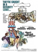 别喝生水 Don't Drink the Water            (1969)