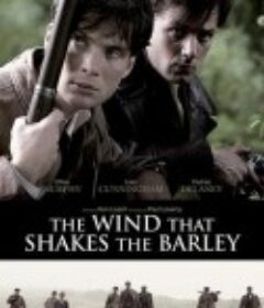 风吹麦浪 The Wind That Shakes the Barley            (2006)