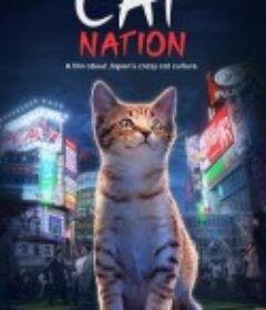 猫咪国度 Cat Nation: A Film About Japan's Crazy Cat Culture            (2017)