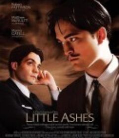少许灰烬 Little Ashes            (2008)
