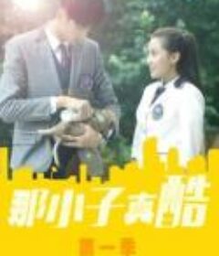 那小子真酷第一季