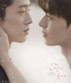 你的目光所及之处 너의 시선이 머무는 곳에            (2020)