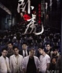 卧虎            (2006)