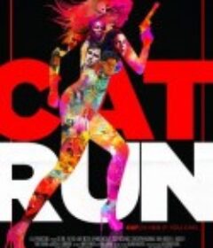 性感女特工 Cat Run            (2011)