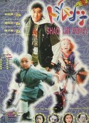 笑林小子            (1994)