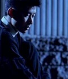 灰色三角带 Azghyin ushtykzyn'azaby            (1993)