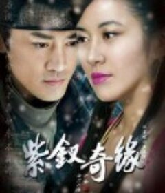 紫钗奇缘 紫釵奇緣            (2013)