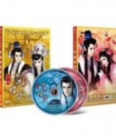 梁祝之西湖蝶梦            (2011)