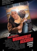 错误指控 Wrongfully Accused            (1998)