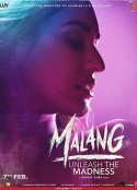疯狂流浪者 Malang            (2020)