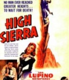 夜困摩天岭 High Sierra            (1941)