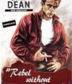 无因的反叛 Rebel Without a Cause            (1955)