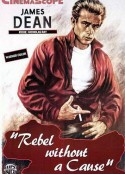 无因的反叛 Rebel Without a Cause            (1955)
