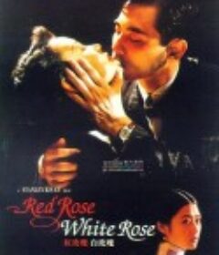 红玫瑰白玫瑰 紅玫瑰白玫瑰            (1994)