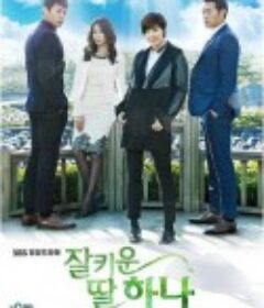 好好长大的女儿荷娜 잘 키운 딸 하나            (2013)