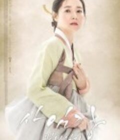 师任堂：光的日记 사임당, 빛의 일기 台配国语版  (2017)