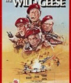 野鹅敢死队 The Wild Geese            (1978)