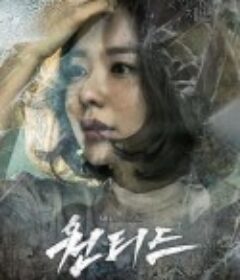 通缉令 원티드            (2016)