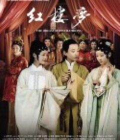 红楼梦            (2010)