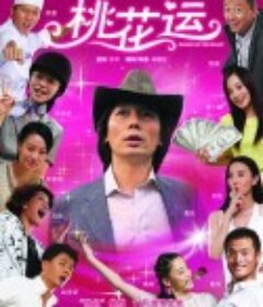 桃花运            (2008)