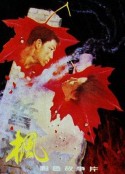 枫            (1980)