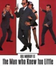 特工插班生 The Man Who Knew Too Little            (1997)