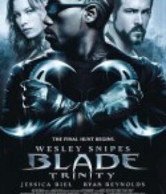 刀锋战士3 Blade: Trinity            (2004)