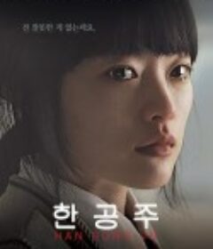 韩公主 한공주            (2013)
