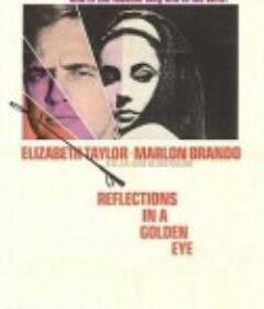 禁房情变 Reflections in a Golden Eye            (1967)