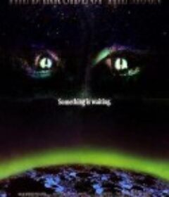 拦截火狐狸 The Dark Side of the Moon            (1990)