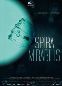 螺纹 Spira mirabilis            (2016)